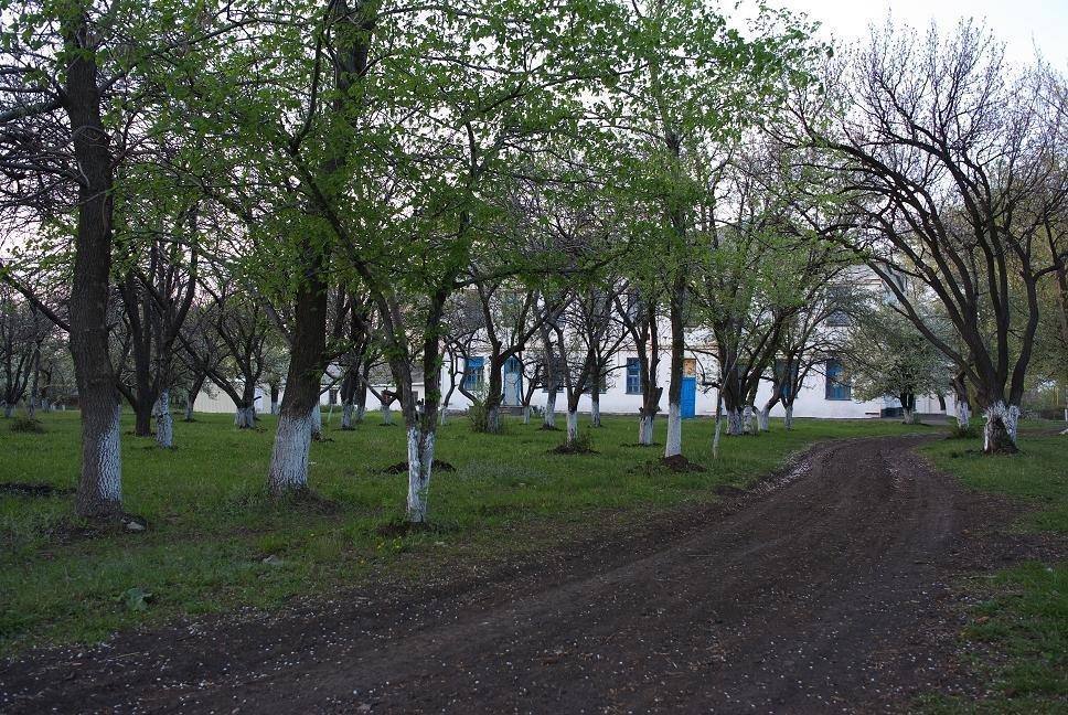 Ровеньки з panoramio.com - Ровеньки