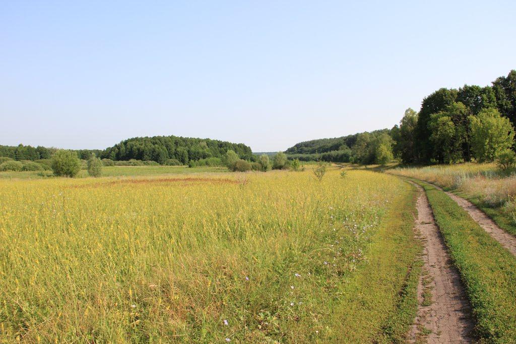 Холодне з panoramio.com - Холодне