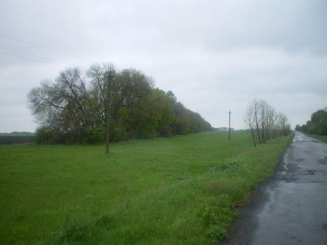 Шрамки з panoramio.com - Шрамки