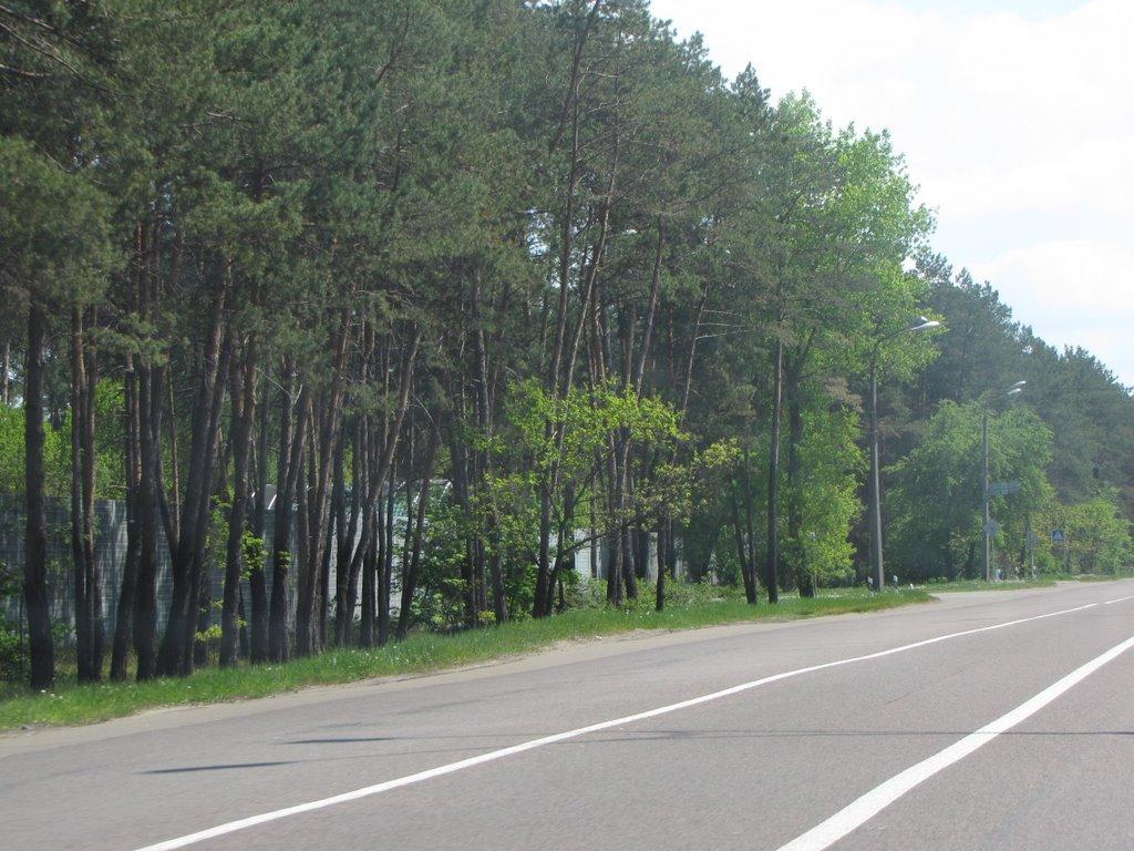 Романків з panoramio.com - Романків