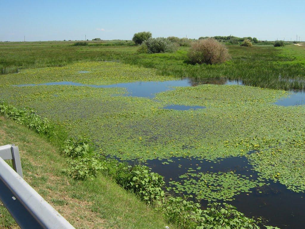 Орлівка з panoramio.com - Orlivka