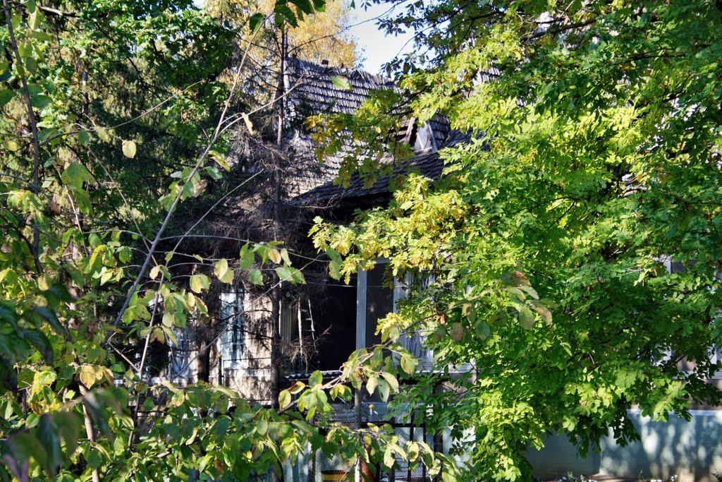 Олексіївка з panoramio.com - Алексеевка