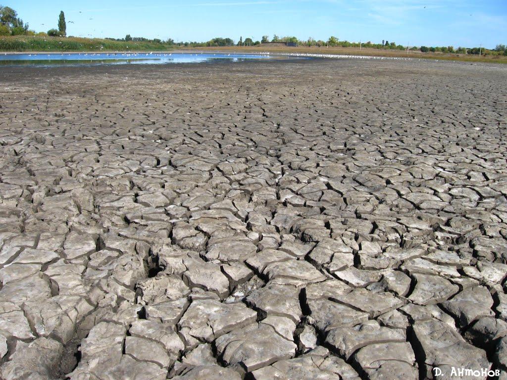 Базарове з panoramio.com - Базарове