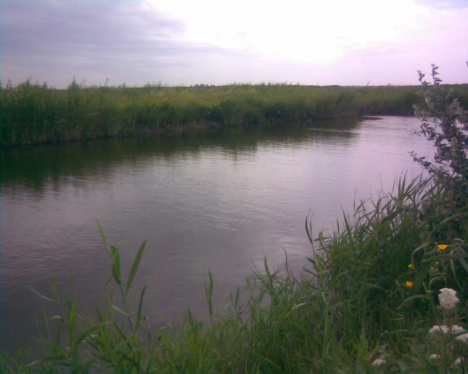 Багатир з panoramio.com - Багатир