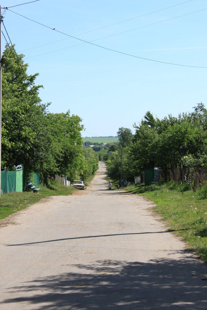 Райки з panoramio.com