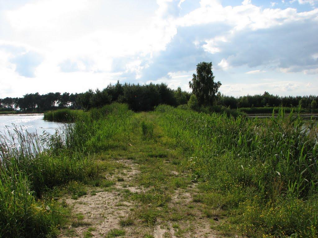 Коритне з panoramio.com - Коритне