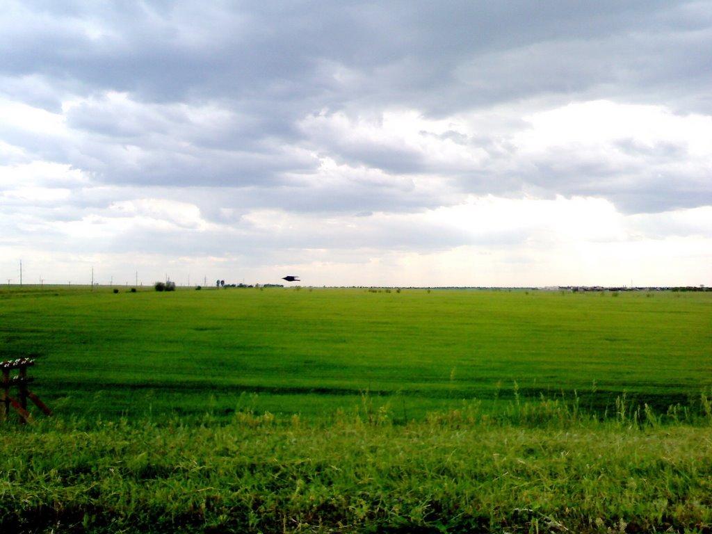 Лазурне з panoramio.com - Лазурне