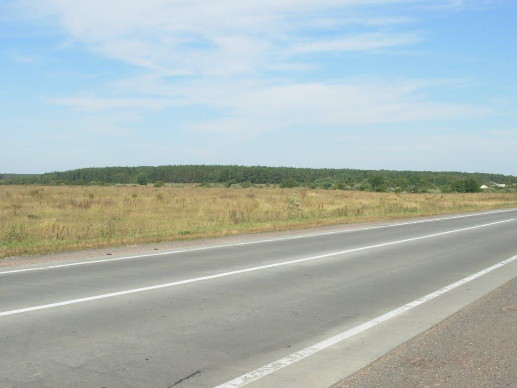 Кам'янка з panoramio.com - Kamyanka