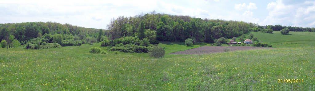 Храпачів Яр з panoramio.com - Храпачев Яр