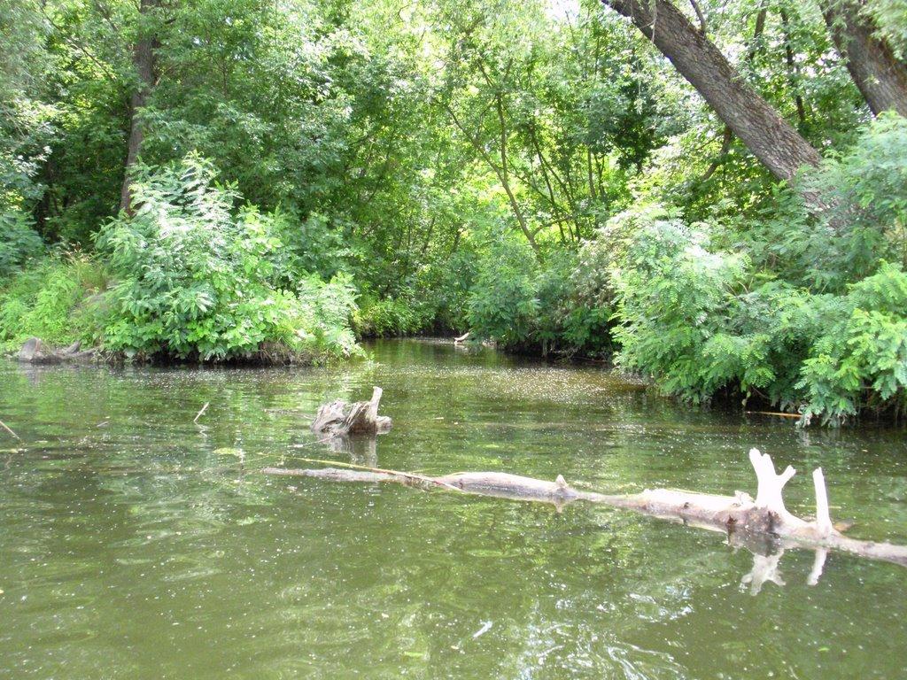 Кияшки з panoramio.com - Kyyashky