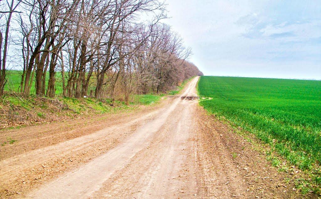 Світлопіль з panoramio.com - Світлопіль