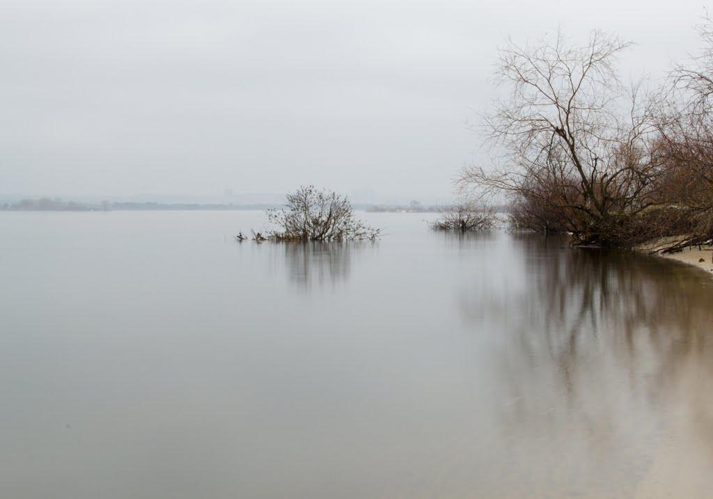 Осещина з panoramio.com