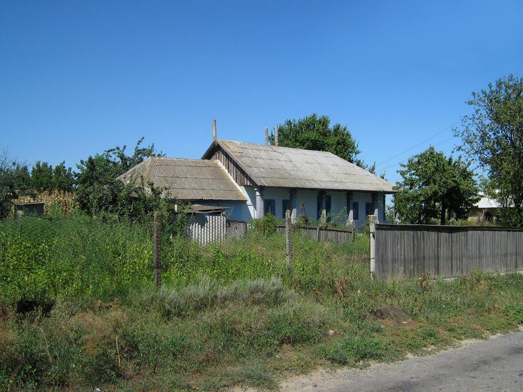 Орлівка з panoramio.com - Orlivka