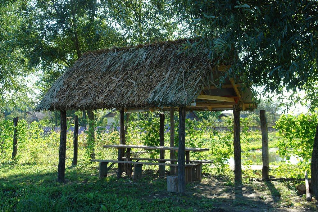 Рідківці з panoramio.com - Редковцы