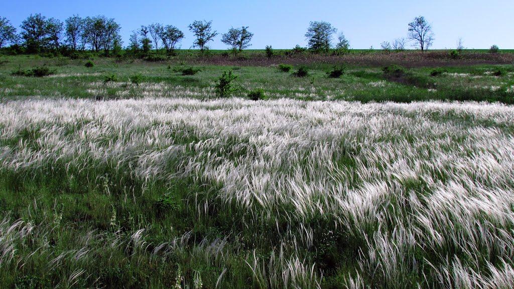 Городуватка з panoramio.com - Городуватка