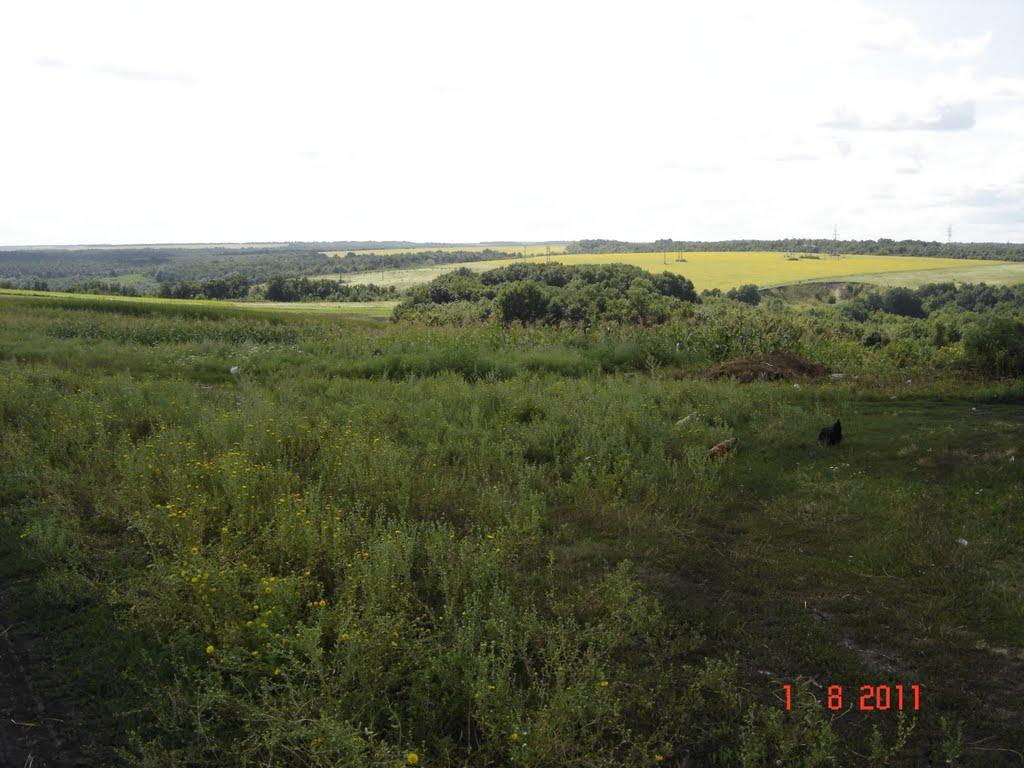 Борщі з panoramio.com - Борщи