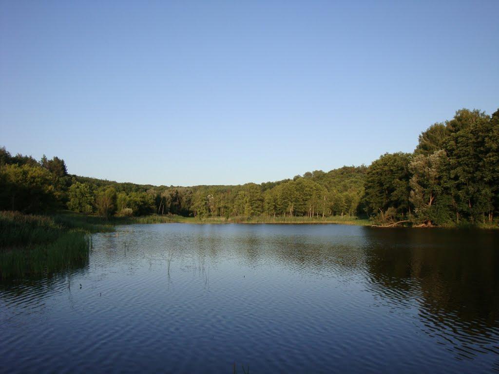 Жаботин з panoramio.com - Жаботин