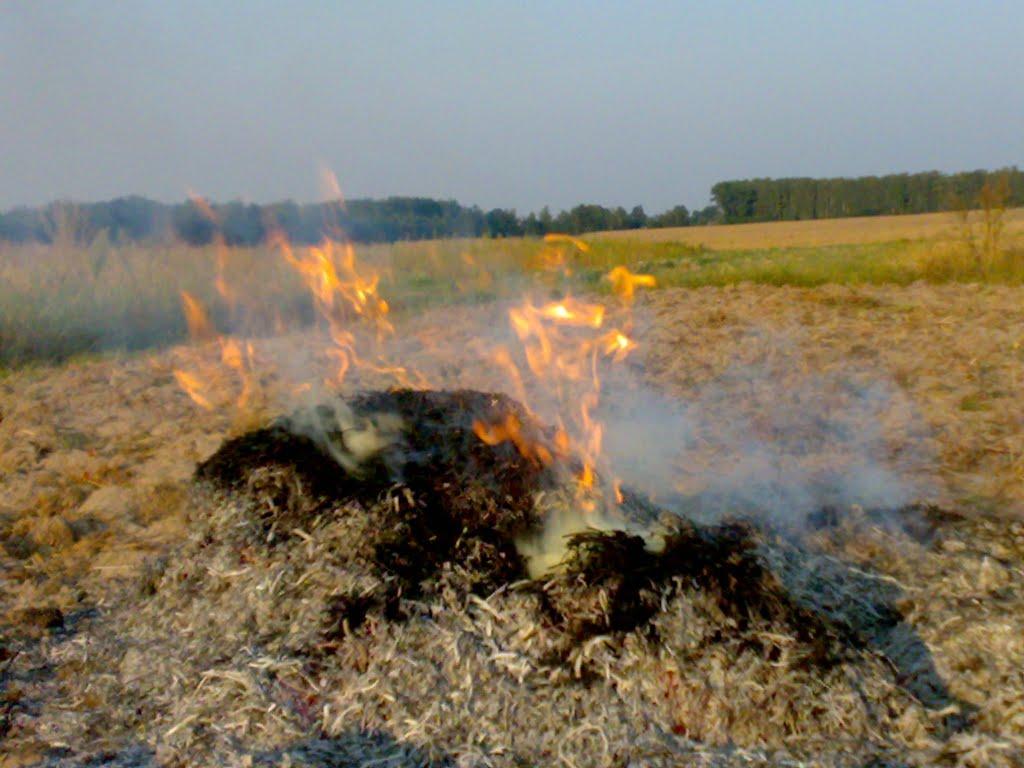 Літки з panoramio.com - Летки