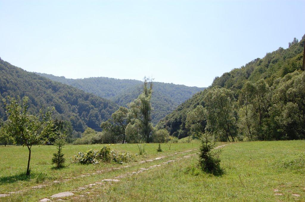 Суха з panoramio.com - Суха