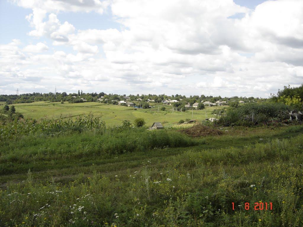 Борщі з panoramio.com - Борщи