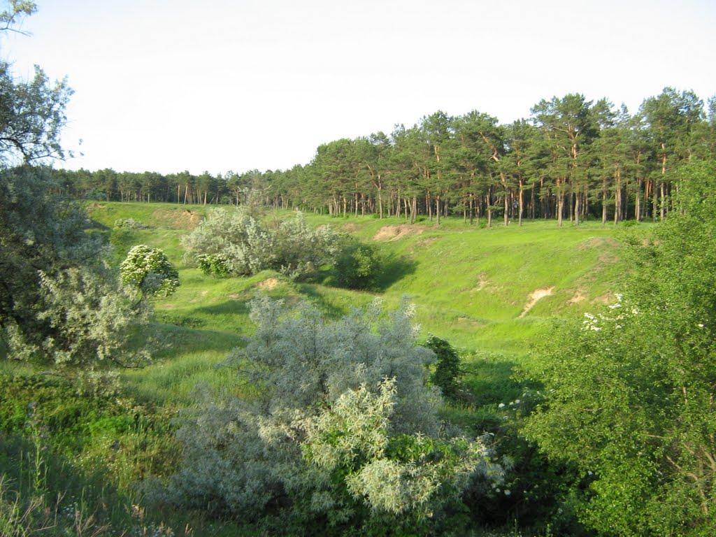 Первозванівка з panoramio.com - Первозванівка