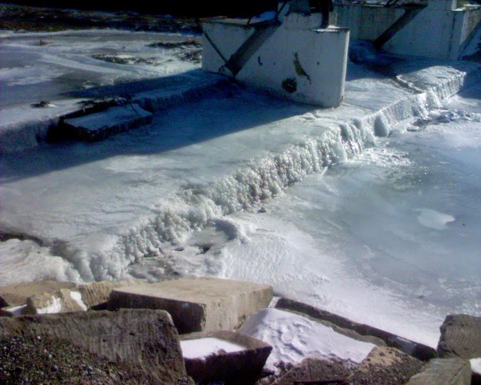 Каштани з panoramio.com - Каштани