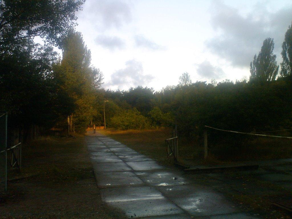 Новосілки з panoramio.com - Новоселки