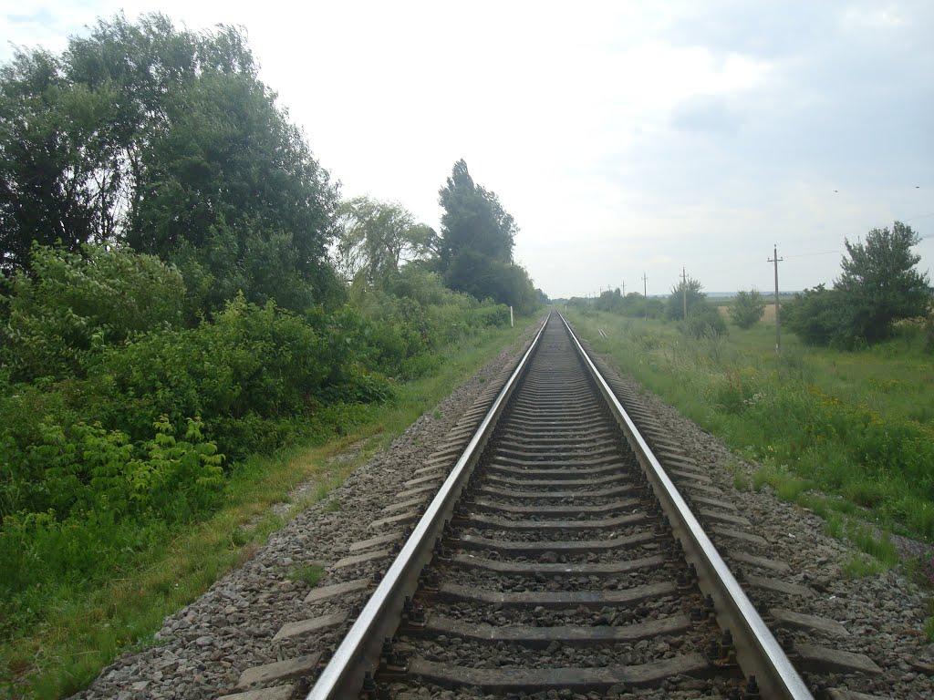 Гуменці з panoramio.com - Гуменці