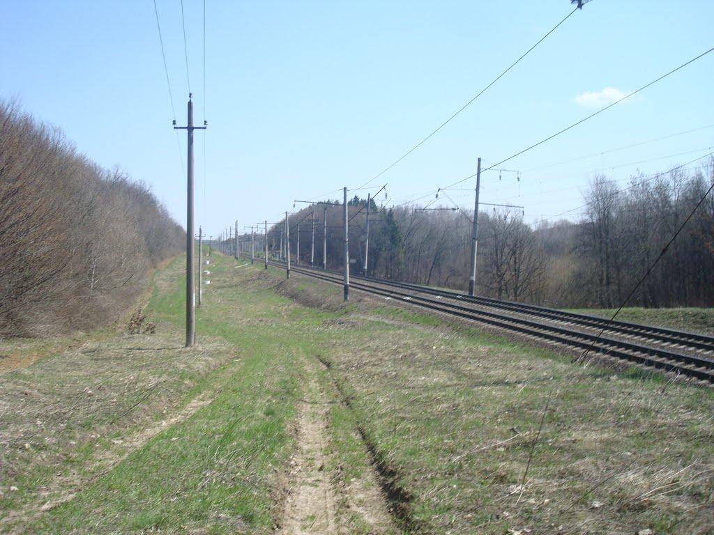 Чапаєвка з panoramio.com - Малые Коростовцы