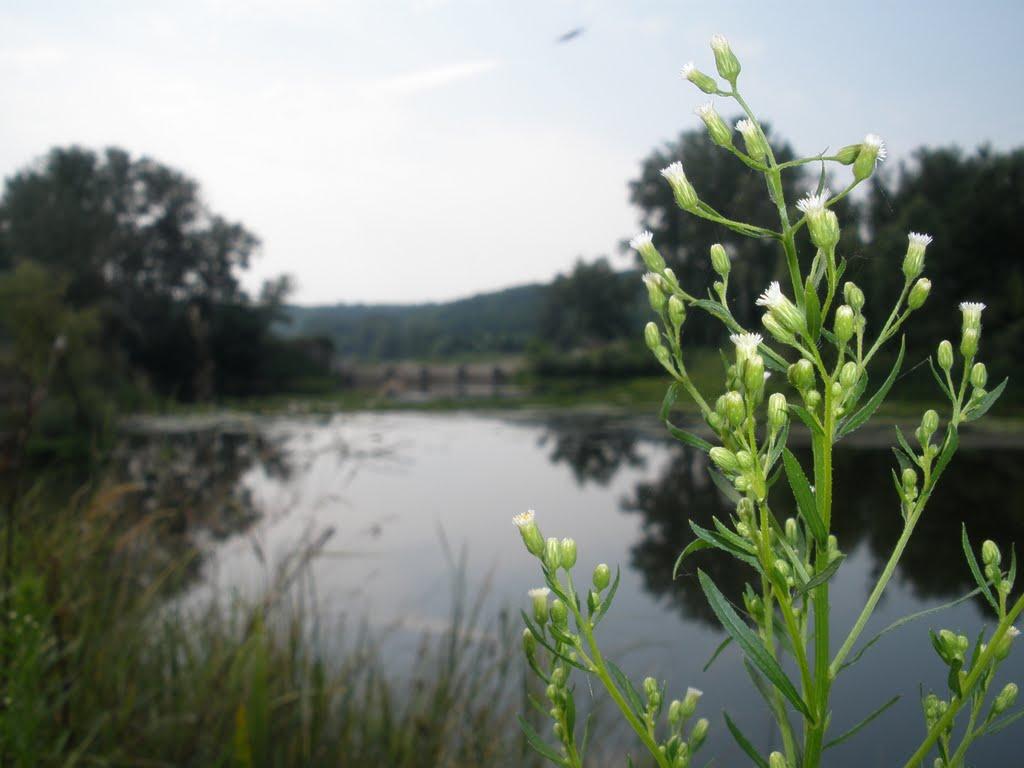 Красногорівка з panoramio.com - Красногорівка