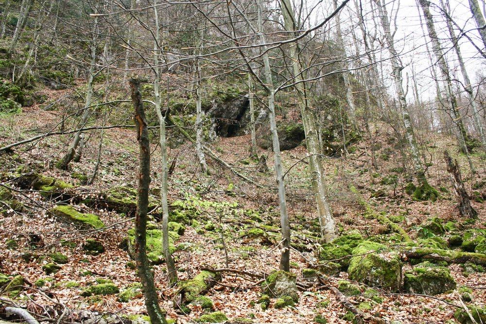 Велика Уголька з panoramio.com - Велика Уголька