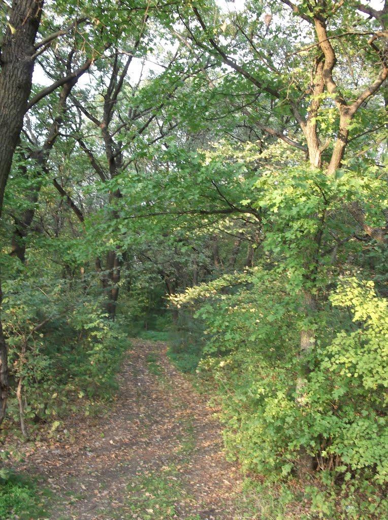 Орлівщина з panoramio.com - Орловщина