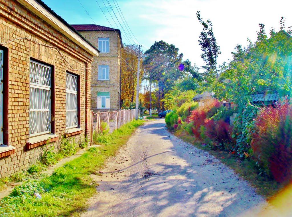 Димер з panoramio.com - Дымер