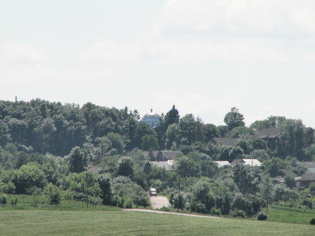 Давидківці з panoramio.com - Давидківці