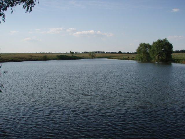 Булавинське з panoramio.com - Булавинське