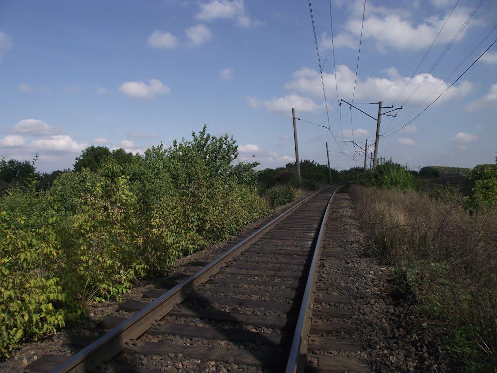 Новокалинове з panoramio.com - Новокалинове