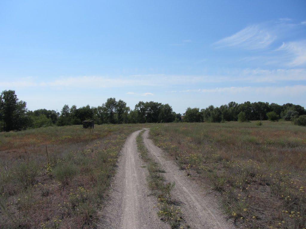 Світловодськ з panoramio.com (ч.2) - Світловодськ