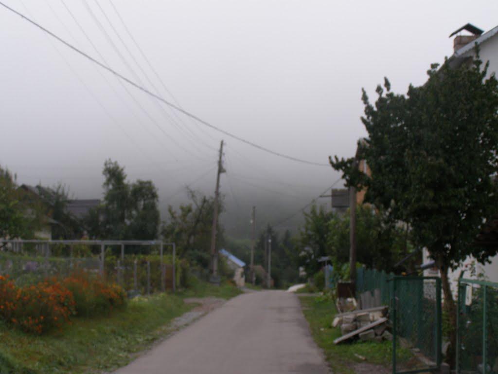 Звенячин з panoramio.com - Звенячин