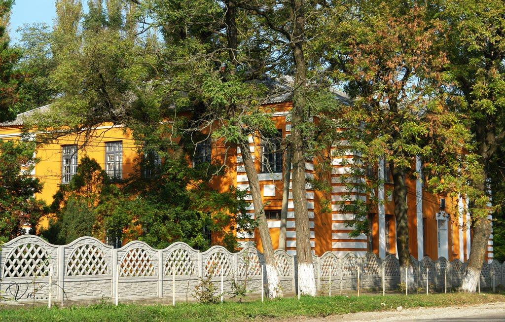 Рідківці з panoramio.com - Рідківці