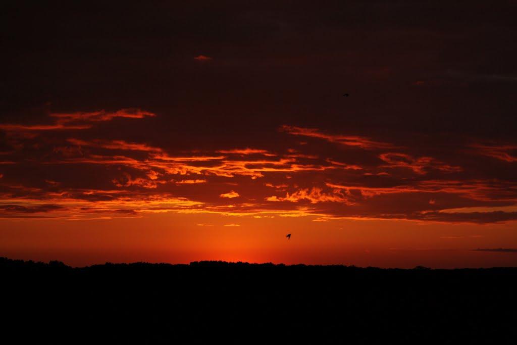 Книшівка з panoramio.com - Кнышовка