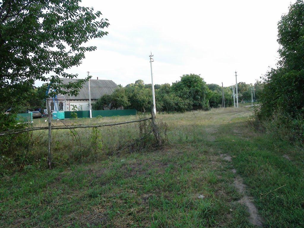 Люлинці з panoramio.com - Люлинцы