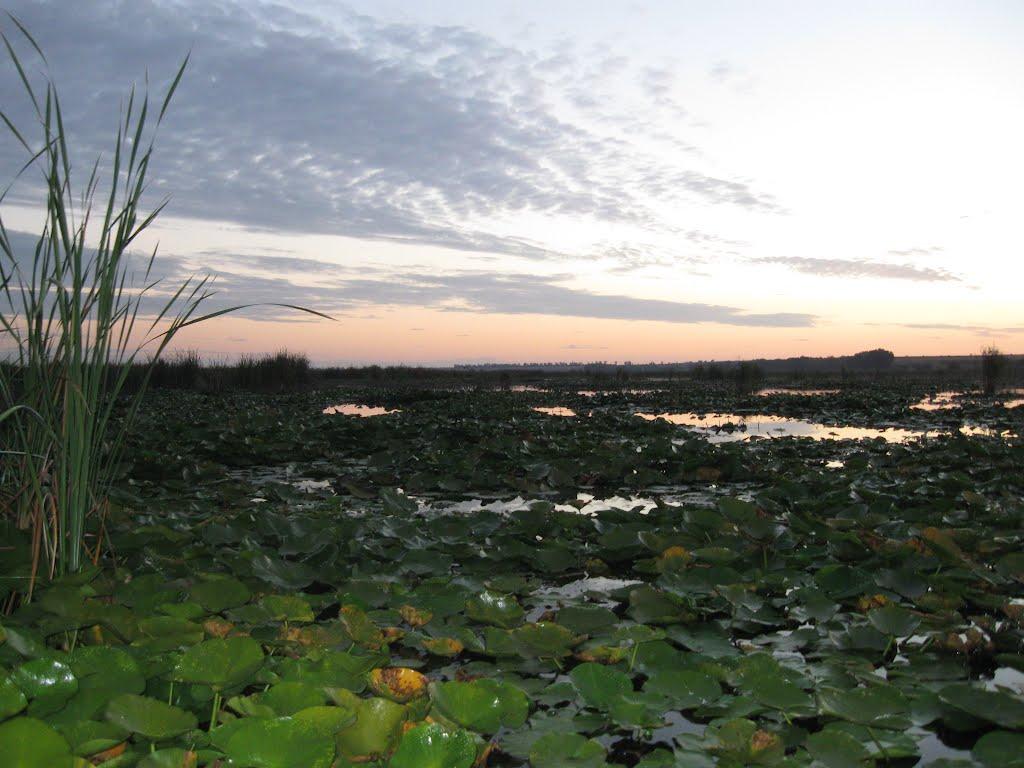 Орлівка з panoramio.com - Orlivka