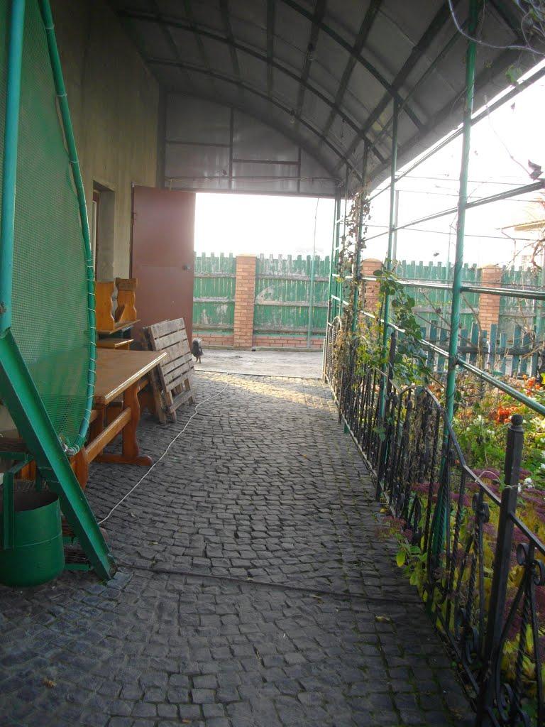 Дядьковичі з panoramio.com - Дядьковичі