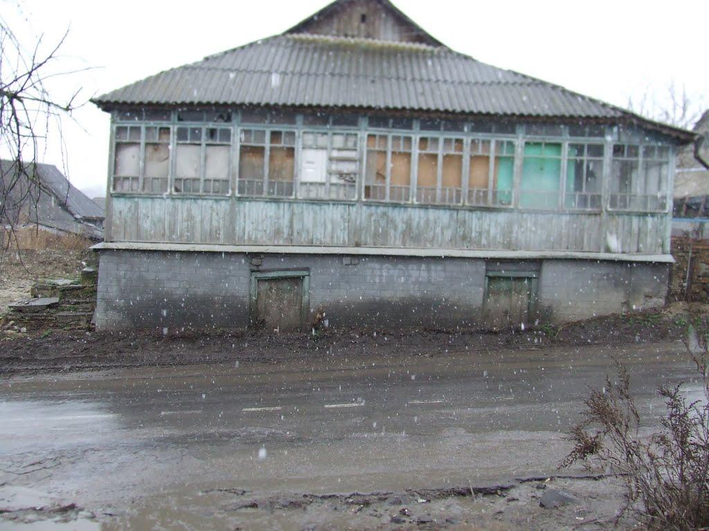 Мазурівка з panoramio.com - Мазурівка