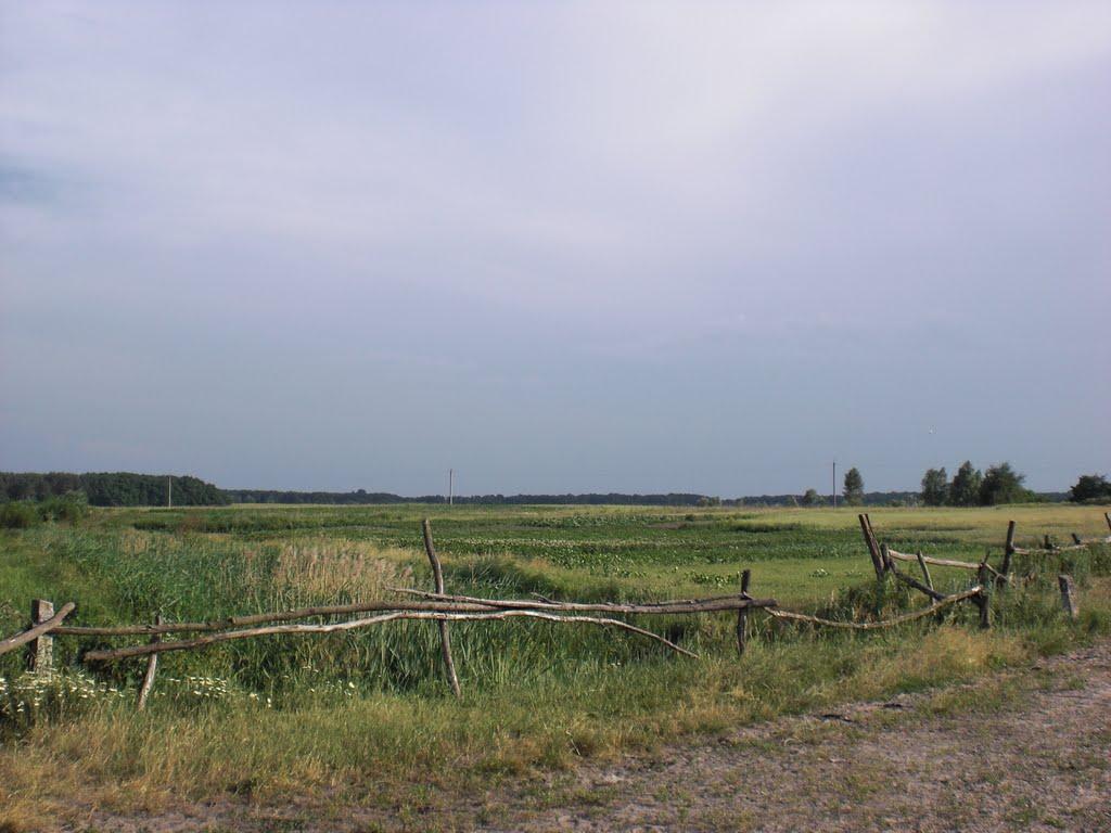 Селище з panoramio.com - Селище