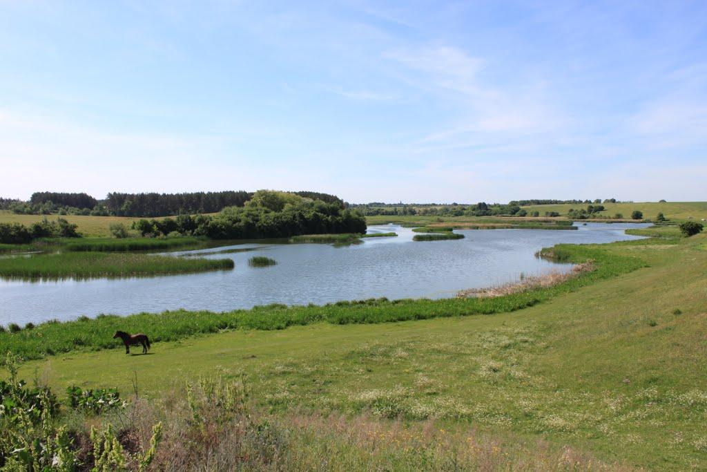 Райки з panoramio.com