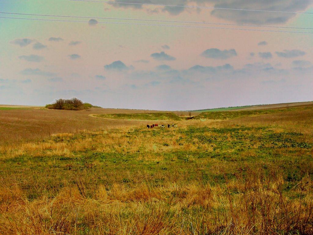 Чапаєве з panoramio.com - Чапаєве