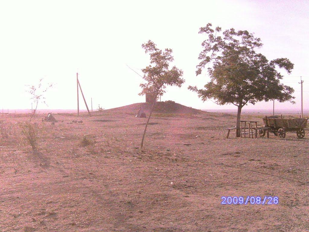 Орлівка з panoramio.com - Orlivka