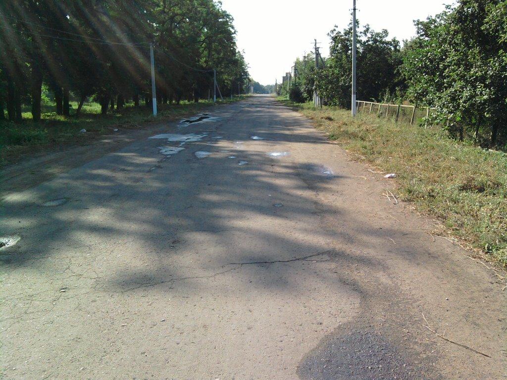 Борщі з panoramio.com - Борщі