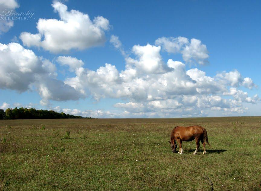 Куманівці з panoramio.com - Куманівці